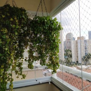 fechamento de sacadas de vidro